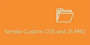 Simple Custom CSS and JS PRO