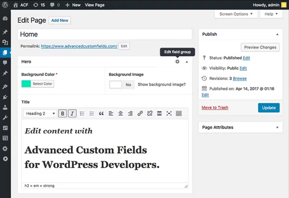 Advanced Custom Fields (ACF) Pro